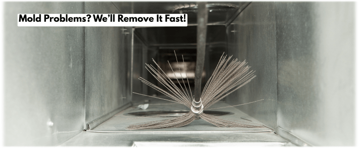 Air Duct Mold Removal in Atlanta